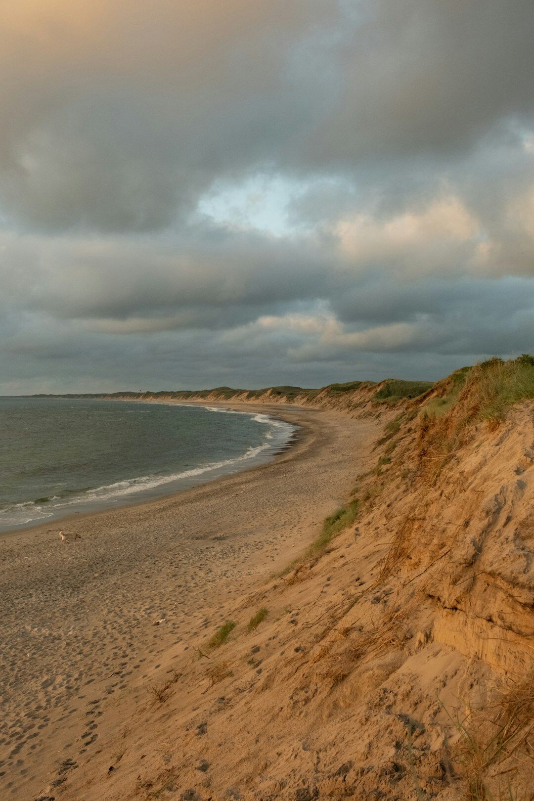 Sand dunes and coastline in northern Denmark