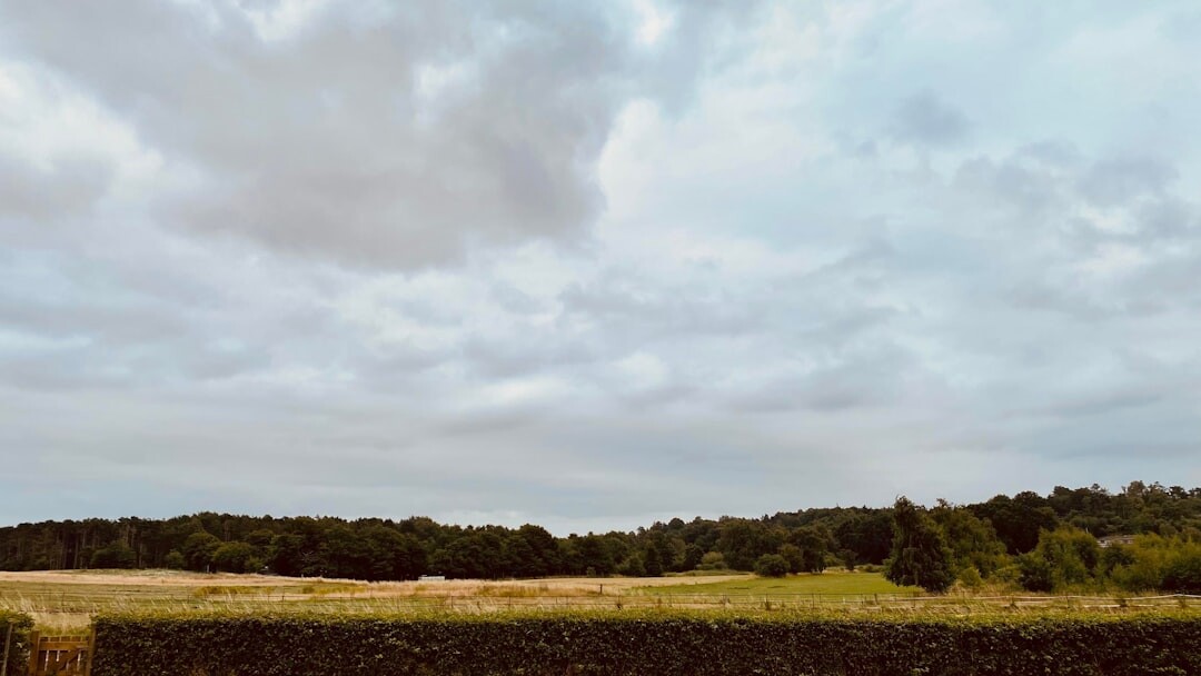 Rolling countryside fields under a dramatic Danish sky